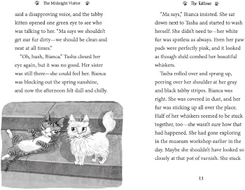 Amazon.com: The Midnight Visitor (Museum Kittens): 9781680104851